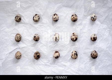 quail eggs flat lay still life with food stylish fresh raw ingredient poultry healthy cholesterol protein vitamin natural rustic Stock Photo
