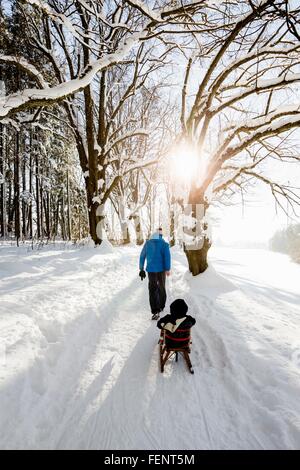 Rear view of man pulling toddler daughter on sledge in snow covered woods, Berg, Bavaria, Germany Stock Photo