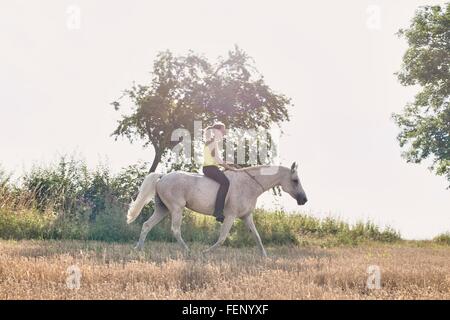 Woman riding grey horse in field Stock Photo