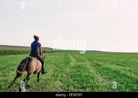 Rear view of woman galloping on bay horse in field Stock Photo