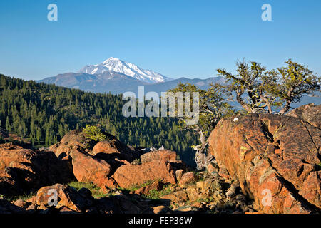 CALIFORNIA - Mount Shasta from an iron rich outcropping along the Pacific Creek Trail in the Trinity Alps Wilderness. Stock Photo