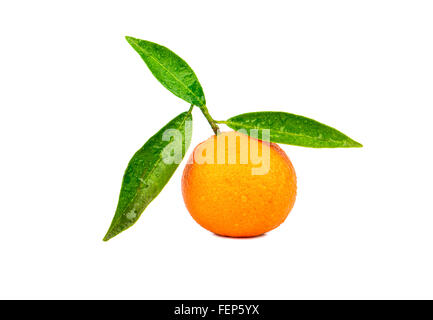 Fresh tangerine fruit with three leaves and drops on white background Stock Photo