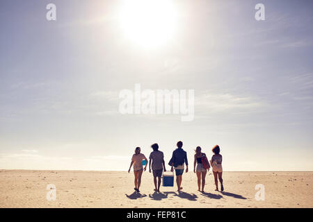 Rear view portrait of young people carrying cooler box walking on the beach. Looking for a spot for party. Friends on beach vaca Stock Photo