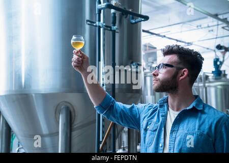 Young man in brewery holding up glass of beer, checking quality Stock Photo