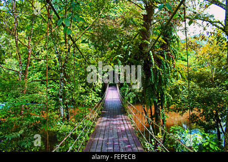 GUNUNG MULU/MALAYSIA - CIRCA NOVEMBER 2015: Brown wooden bridge over muddy river  surrounded by green forest in Gunung Mulu Stock Photo