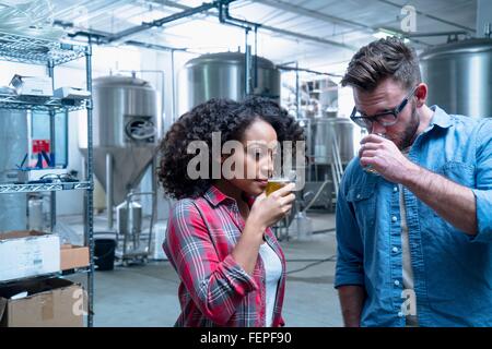 Colleagues in brewery sampling beer Stock Photo