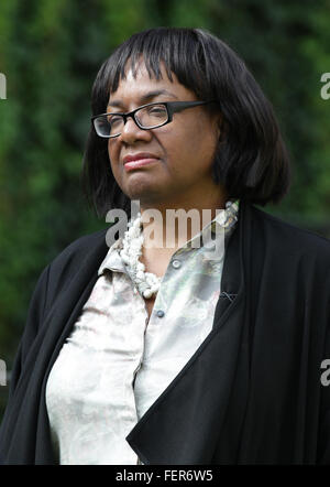 Diane Abbott A British Party Politician Once