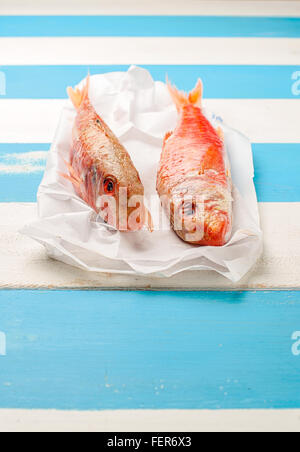 Two fresh red mullets (Mullus surmuletus) on a rustic mediterranean white and blue wooden table. Stock Photo