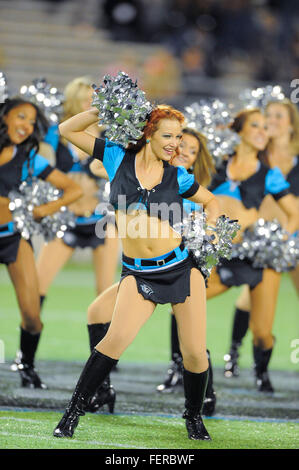 Orlando, FL, USA. 5th Nov, 2010. Florida Tuskers cheerleaders during the Tuskers game against the Omaha Nighthawks at the Florida Citrus Bowl on November 4, 2010 in Orlando, Florida. Florida won the game 31-14. © Scott A. Miller/ZUMA Wire/Alamy Live News Stock Photo