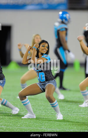 Orlando, FL, USA. 5th Nov, 2010. Florida Tuskers cheerleaders during the Tuskers game against the Omaha Nighthawks at the Florida Citrus Bowl on November 4, 2010 in Orlando, Florida. Florida won the game 31-14. © Scott A. Miller/ZUMA Wire/Alamy Live News Stock Photo