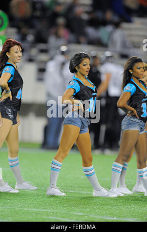 Orlando, FL, USA. 5th Nov, 2010. Florida Tuskers cheerleaders during the Tuskers game against the Omaha Nighthawks at the Florida Citrus Bowl on November 4, 2010 in Orlando, Florida. Florida won the game 31-14. © Scott A. Miller/ZUMA Wire/Alamy Live News Stock Photo