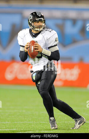 Orlando, FL, USA. 5th Nov, 2010. Omaha Nighthawks quarterback Matt Gutierrez (15 during the Nighthawks game against the Florida Tuskers at the Florida Citrus Bowl on November 4, 2010 in Orlando, Florida. Florida won the game 31-14. © Scott A. Miller/ZUMA Wire/Alamy Live News Stock Photo