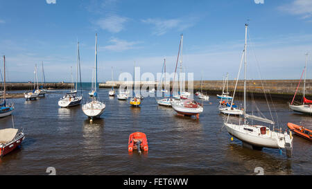 Yachts and dingies in the harbour in Bray, County Wicklow, Republic of Ireland. Stock Photo