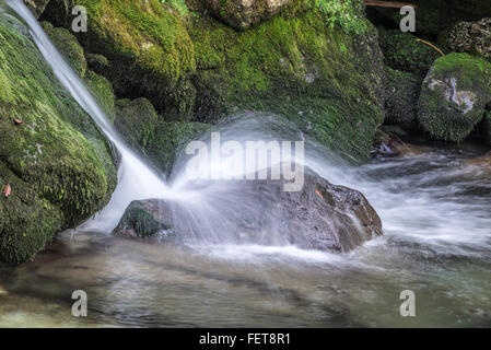 Small waterfall, wild stream in Hartelsgraben, Gesäuse National Park, Styria, Austria Stock Photo