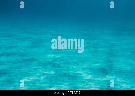 Ocean Floor underwater. Villasimius Stock Photo