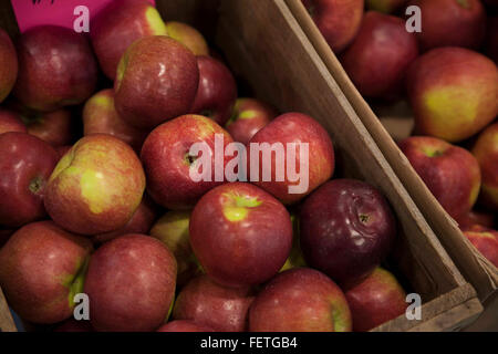 Apples for sale at an indoor market in Williamstown, Massachusetts. Stock Photo