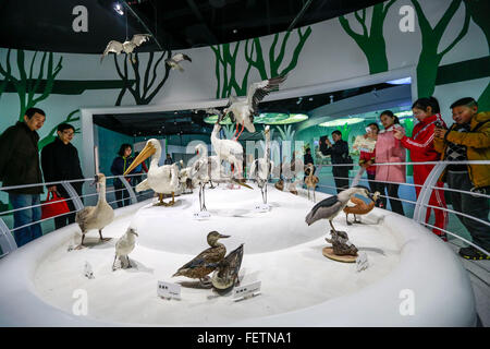 Chongqing, China. 9th Feb, 2016. Citizens visit the new exhibition hall ...