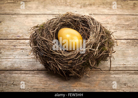 finance concept - golden egg in bird nest on rustic wood background Stock Photo