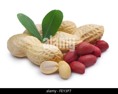 Heap of peanuts in shell, whole shelled, blanched, whole and split, roasted, with leaves. Clipping paths, infinite DOF Stock Photo