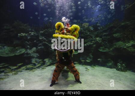 Kuala Lumpur, Malaysia. 9th Feb, 2016.  Malaysian divers perform a lion dance under water during Chinese New Year celebrations at Aquaria KLCC in Kuala Lumpur, Malaysia. Chinese around the world celebrate the Chinese New Year, Year of Monkey on 8th of February. Credit:  Kamen/ZUMA Wire/Alamy Live News Stock Photo