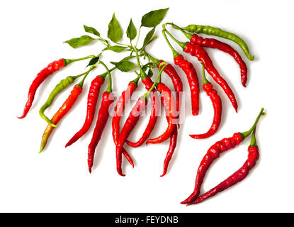 A group of peppers isolated on white Stock Photo