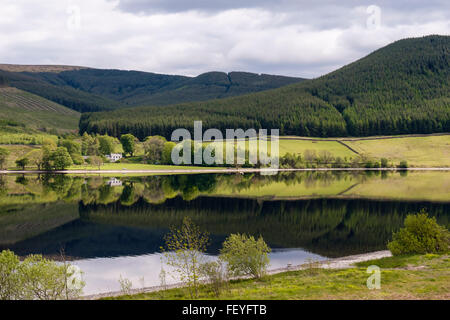 View across St Mary's Loch in Yarrow Valley in Southern Uplands. Selkirk Scottish Borders Scotland UK Britain Stock Photo