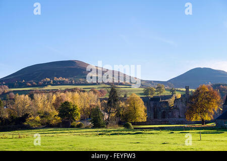 Eildon Hills above Melrose Abbey in trees in autumn colour. Melrose, Roxburgh, Scottish Borders, Scotland, UK, Britain. Stock Photo