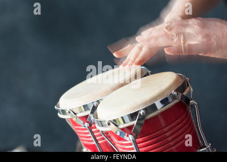 Hands playing red bongo drums with a grey background Stock Photo