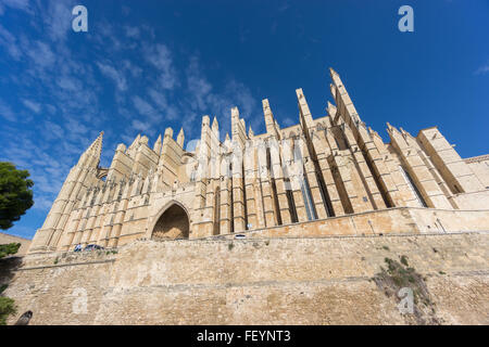 Cathedral of Palma de Majorca, wide angle Stock Photo
