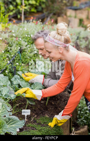 Cute couple doing some gardening Stock Photo