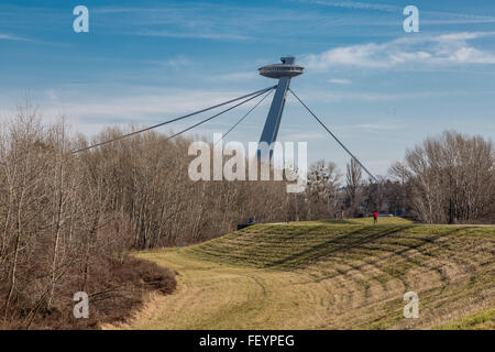 New Bridge pylon in Bratislava, Slovakia. View of floodplain forest at the river Danube. Stock Photo