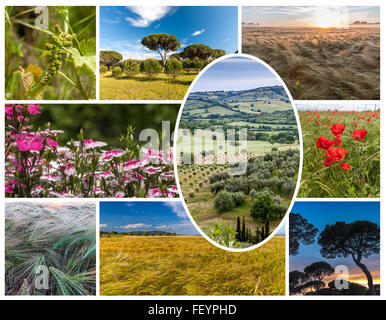 Collage of the hills in Tuscany Stock Photo