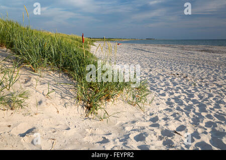 White sand beach and dunes, Skanör Falsterbo, Falsterbo Peninsula, Skåne, South Sweden, Sweden, Scandinavia, Europe Stock Photo