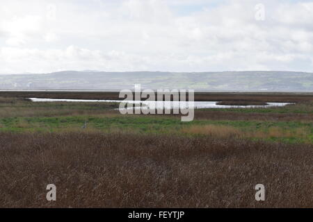 View from Parkgate on the Wirral Peninsular looking across the marshes of the Dee Estuary with North Wales in the distance. Stock Photo