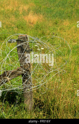 Barbed wire fence around a field with snow in winter. England, UK ...