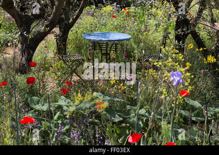 RHS Chelsea flower show 2015 L'Occitaine A Perfumers Garden in Grasse Designer James Basson Stock Photo