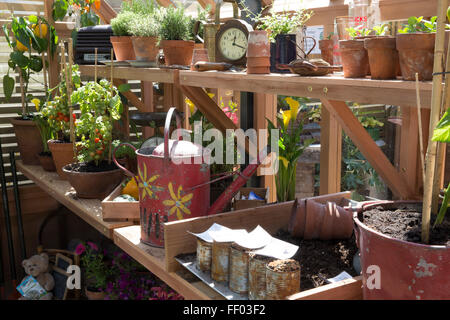 potting greenhouse with tomato and pepper plants growing in terracotta plant pots gardening without plastic Chelsea flower show 2015 London UK Stock Photo