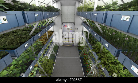 Meals Ready to Eat: Expedition 44 Crew Members Sample Leafy Greens Grown on Space Station Meals Ready to Eat Expedition 44 Crew Members Sample Leaf Stock Photo