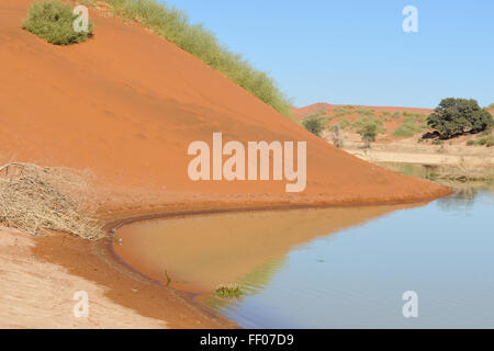 A rare sight: Sossusvlei in the Namib desert of Namibia filled with water. Stock Photo