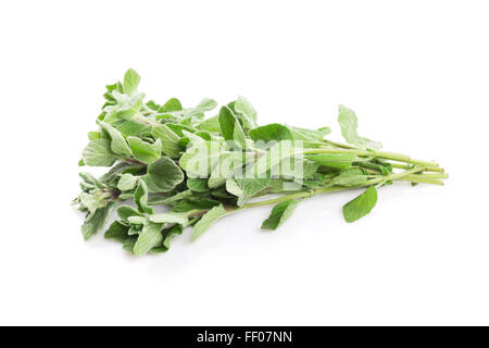 Fresh garden oregano herb. Isolated on white background Stock Photo
