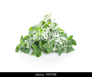 Fresh garden oregano herb. Isolated on white background Stock Photo