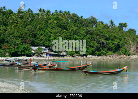 Long Tail boats in Had Salad Koh Phangan Thailand Stock Photo