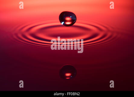 A drop of water about to hit it's reflection in a pool of water Stock Photo