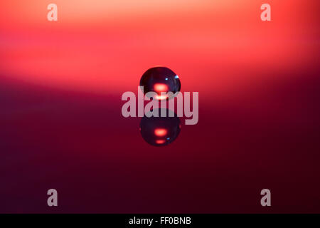 A drop of water about to hit it's reflection in a pool of water Stock Photo