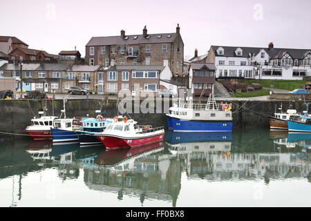 boats in Seahouses harbour Northumberland Stock Photo