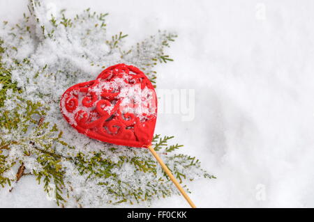 heart and a fir branch in the snow Stock Photo