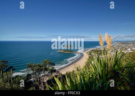 Mount Maunganui beach and port from the summit walking track Stock Photo