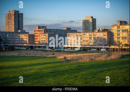 Broadwater Farm Housing Estate , late summer's afternoon, Tottenham, London Stock Photo