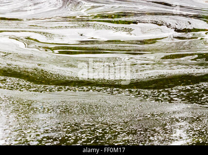 Abstract white foam swirls pattern on green pond water. Stock Photo