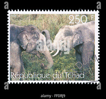 postage stamp from Chad depicting two African elephants. Stock Photo